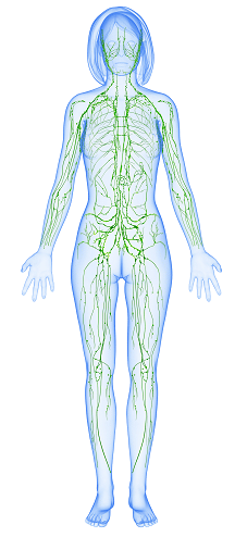 7 Ways to Improve Lymphatic Health in Columbus